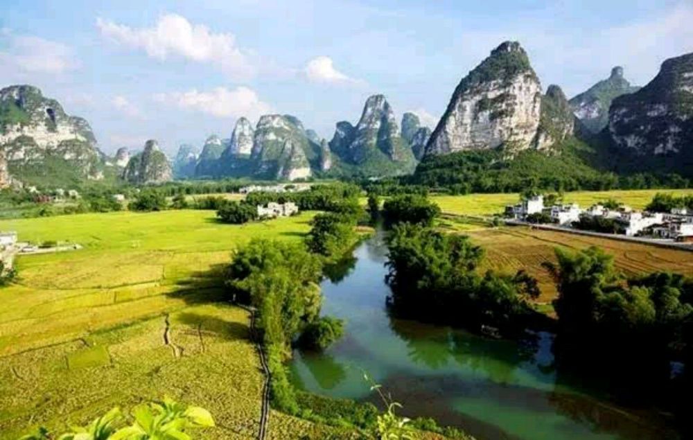 广西盛会,尊敬的领导与朋友们共聚一堂