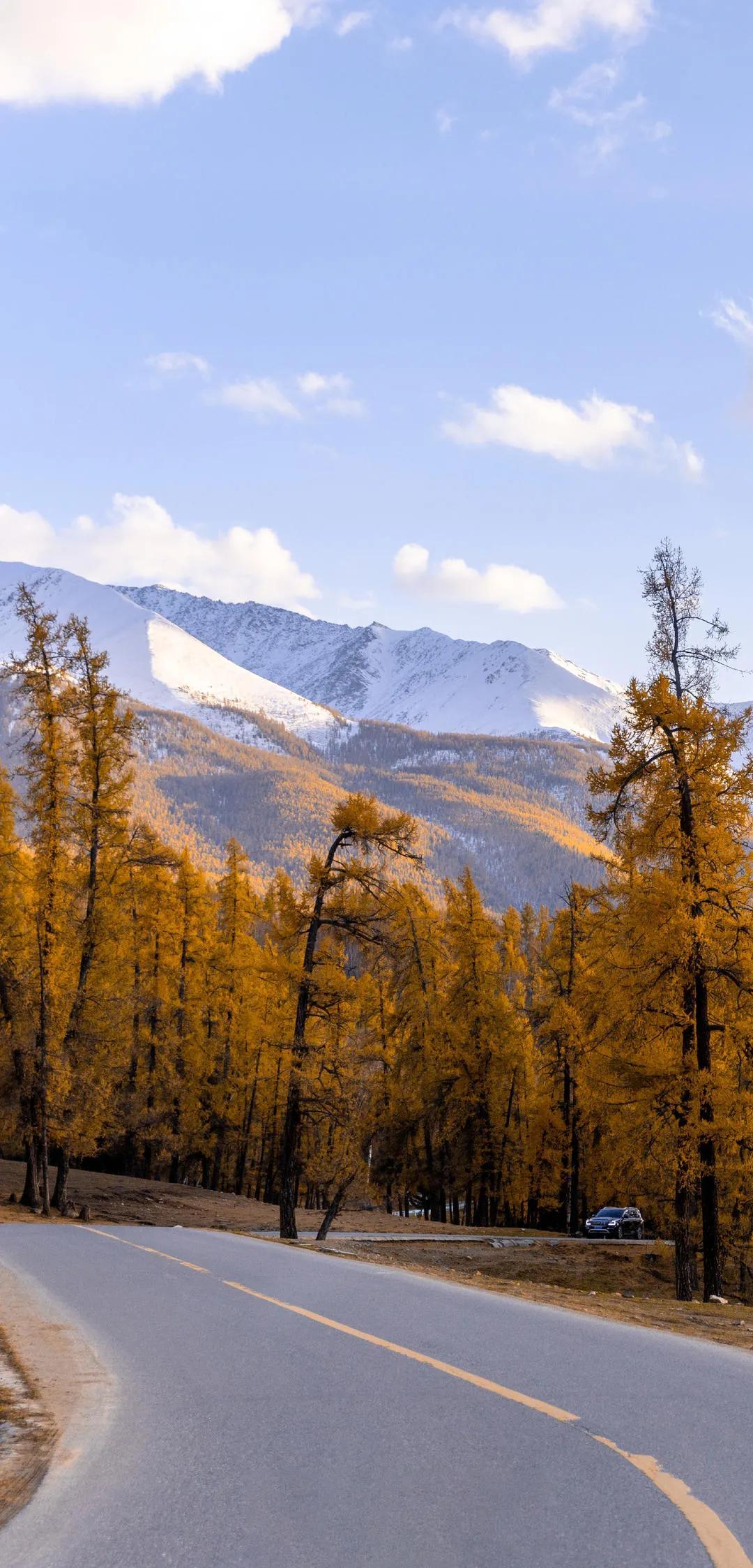 新疆之韵，探索独特文化与风情