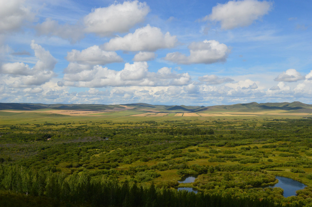 呼伦贝尔草原之旅全攻略,探索草原之美,留下难忘回忆
